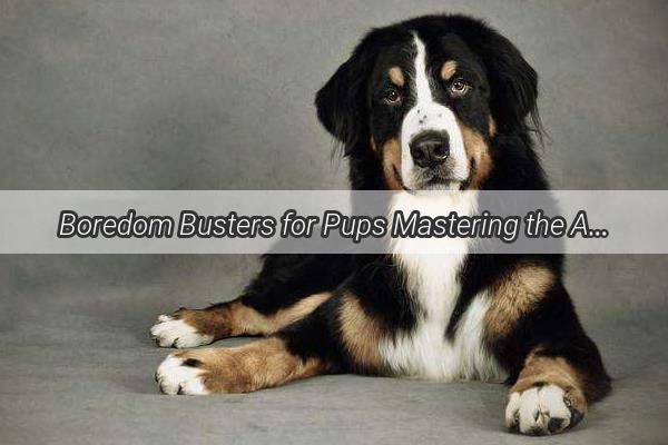 Boredom Busters for Pups Mastering the Art of Engaging Your Canine Companion